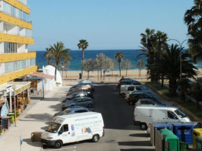 Playasol 2f, Roses